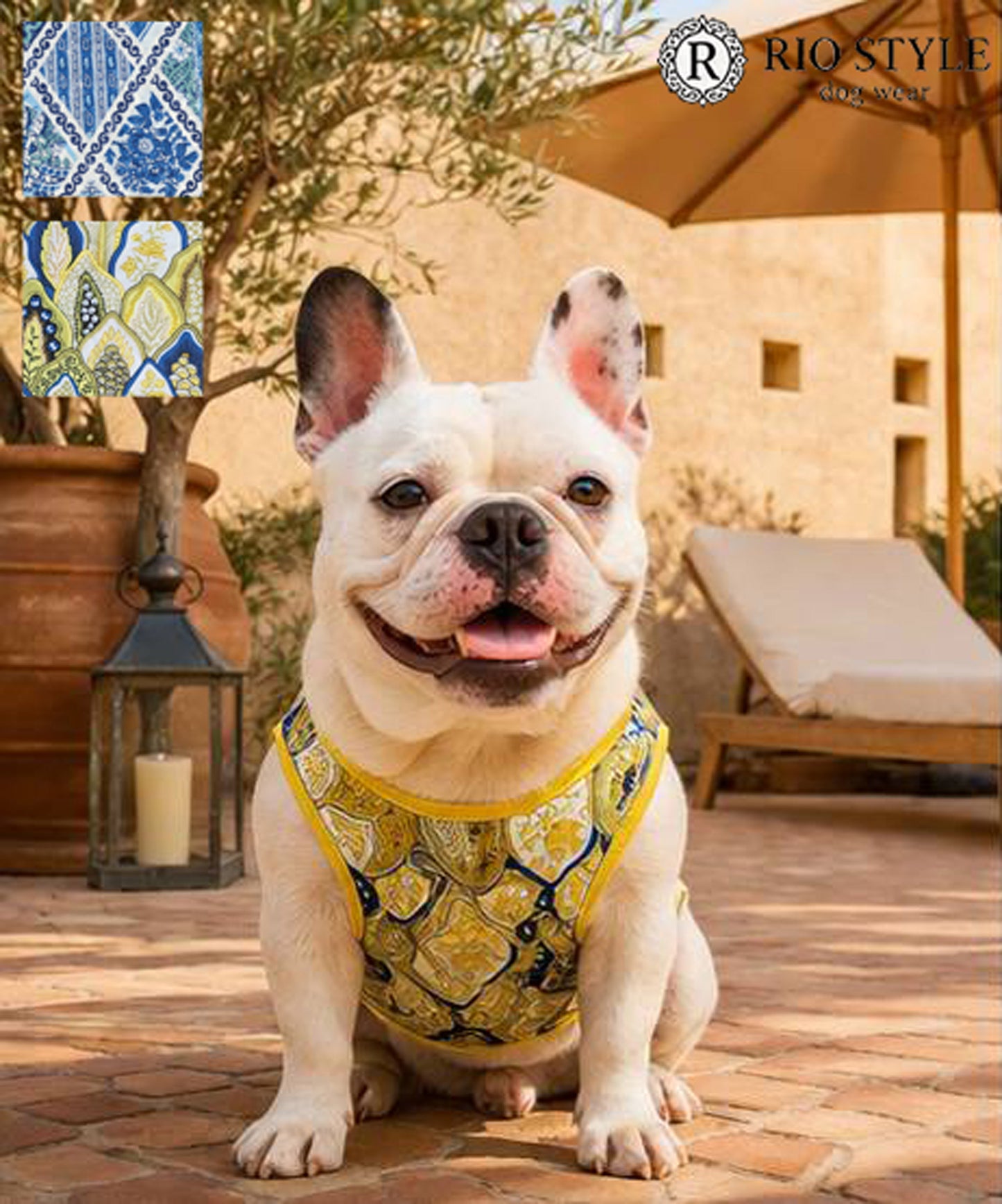 Oriental Resort Tank ◇RIO STYLE◇-dog resort wear-