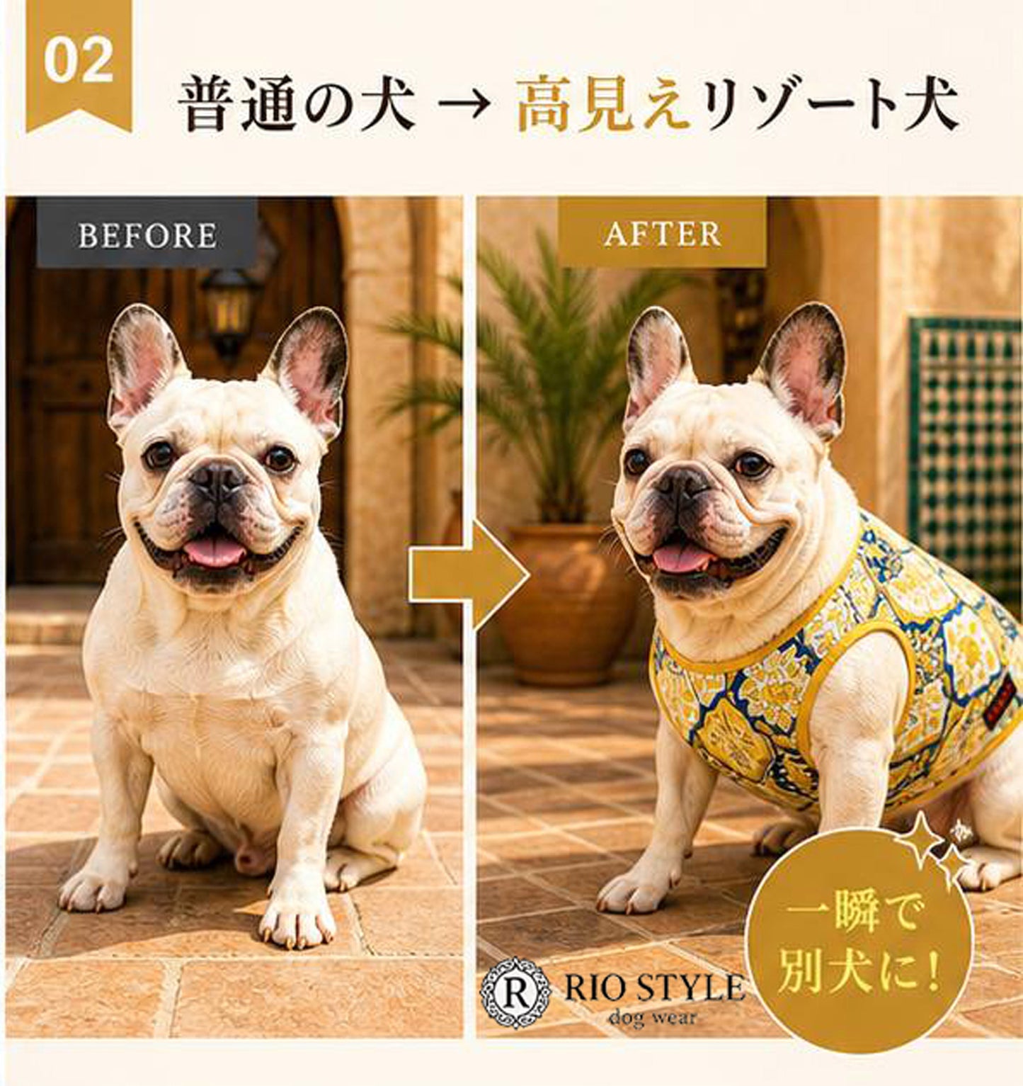 Oriental Resort Tank ◇RIO STYLE◇-dog resort wear-