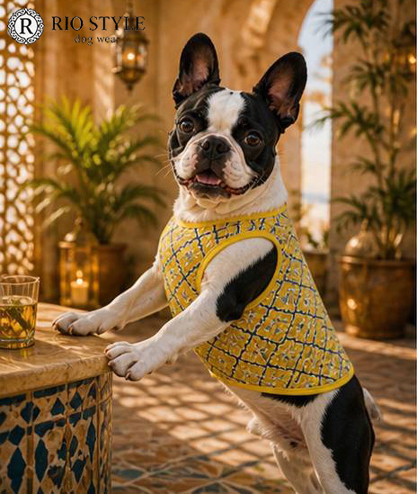 Oriental Resort Tank ◇RIO STYLE◇-dog resort wear-