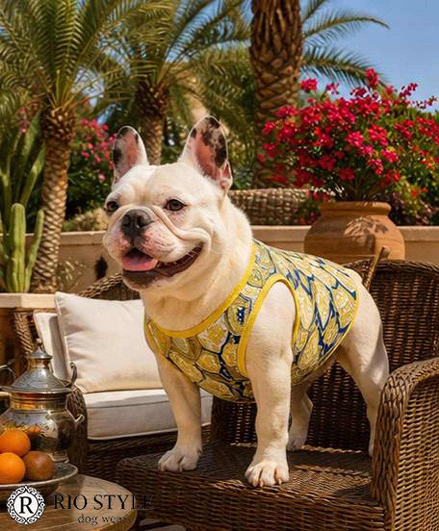 Oriental Resort Tank ◇RIO STYLE◇-dog resort wear-