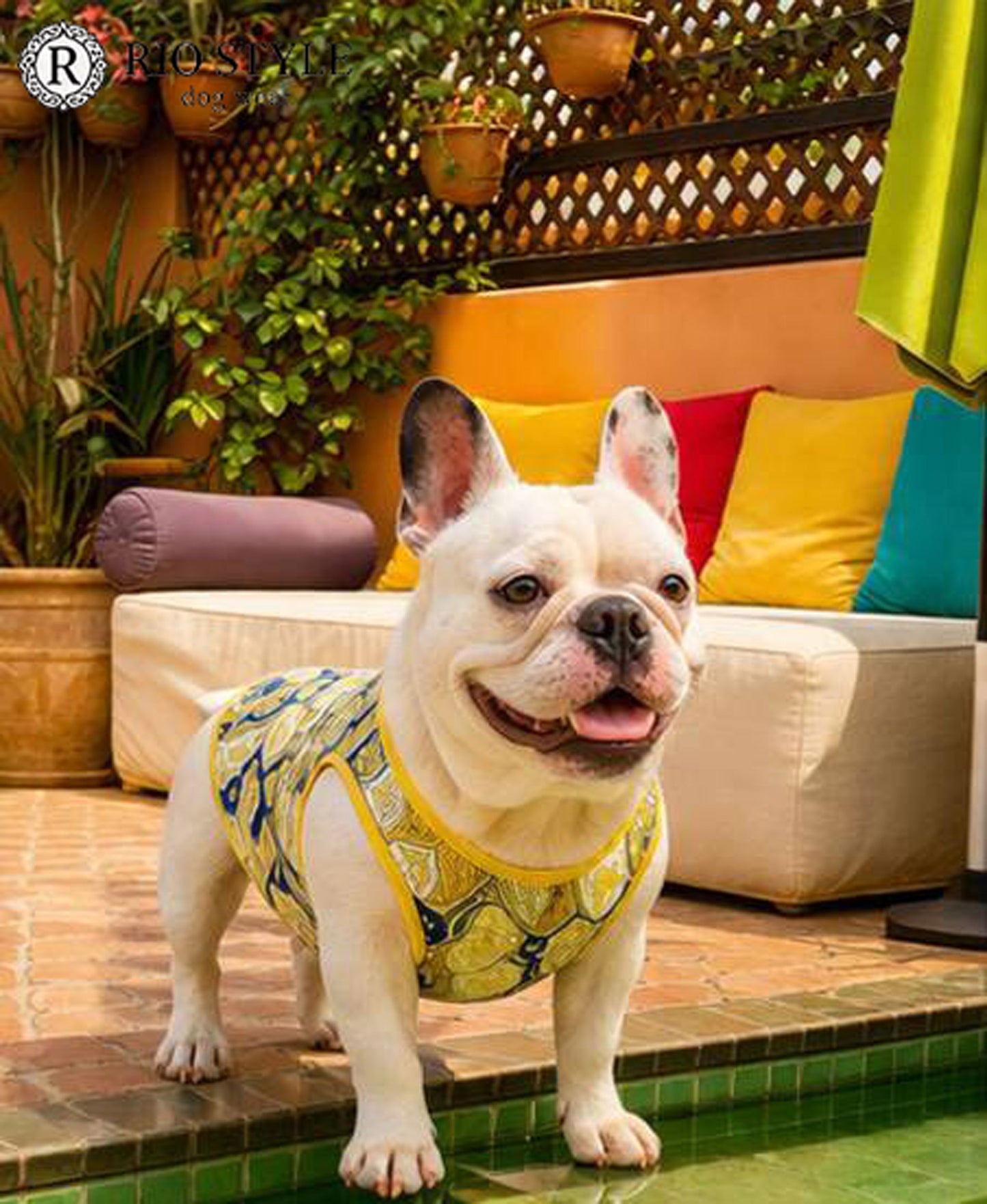 Oriental Resort Tank ◇RIO STYLE◇-dog resort wear-