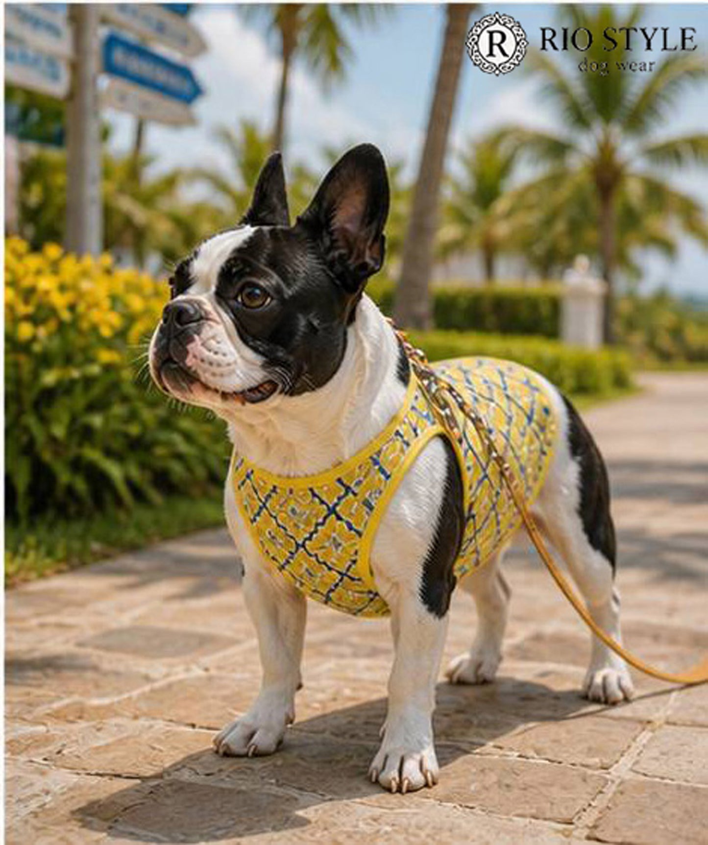 Oriental Resort Tank ◇RIO STYLE◇-dog resort wear-