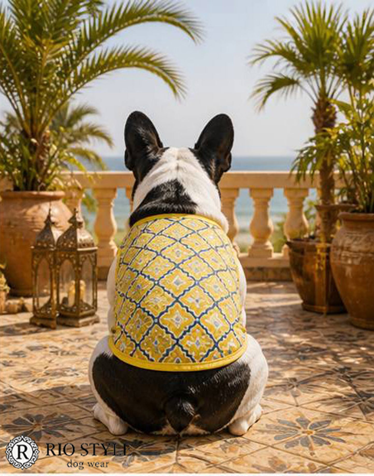 Oriental Resort Tank ◇RIO STYLE◇-dog resort wear-