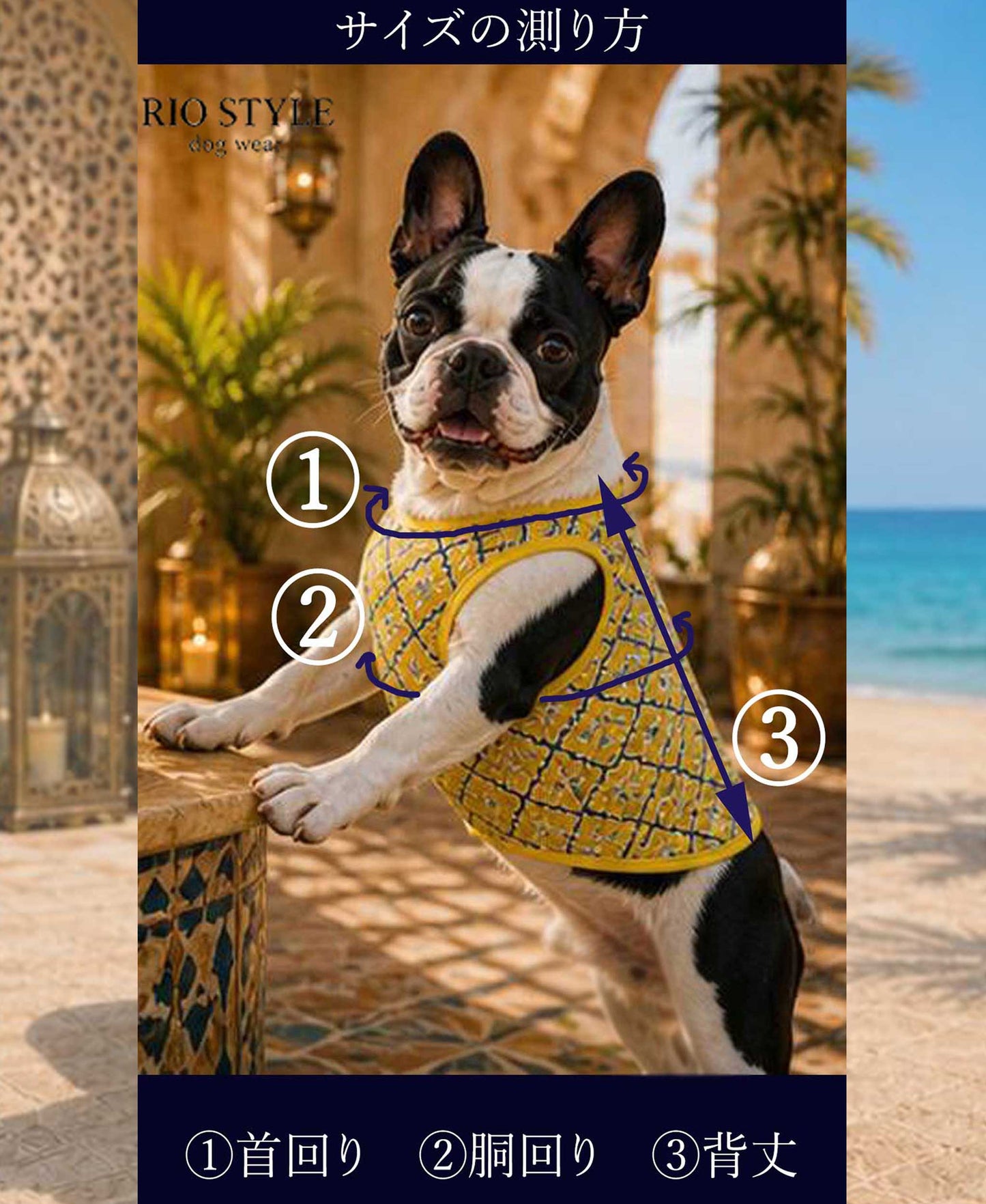 Oriental Resort Tank ◇RIO STYLE◇-dog resort wear-
