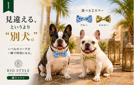 Oriental Resort Bow Tie◇RIO STYLE ◇-dog resort wear-