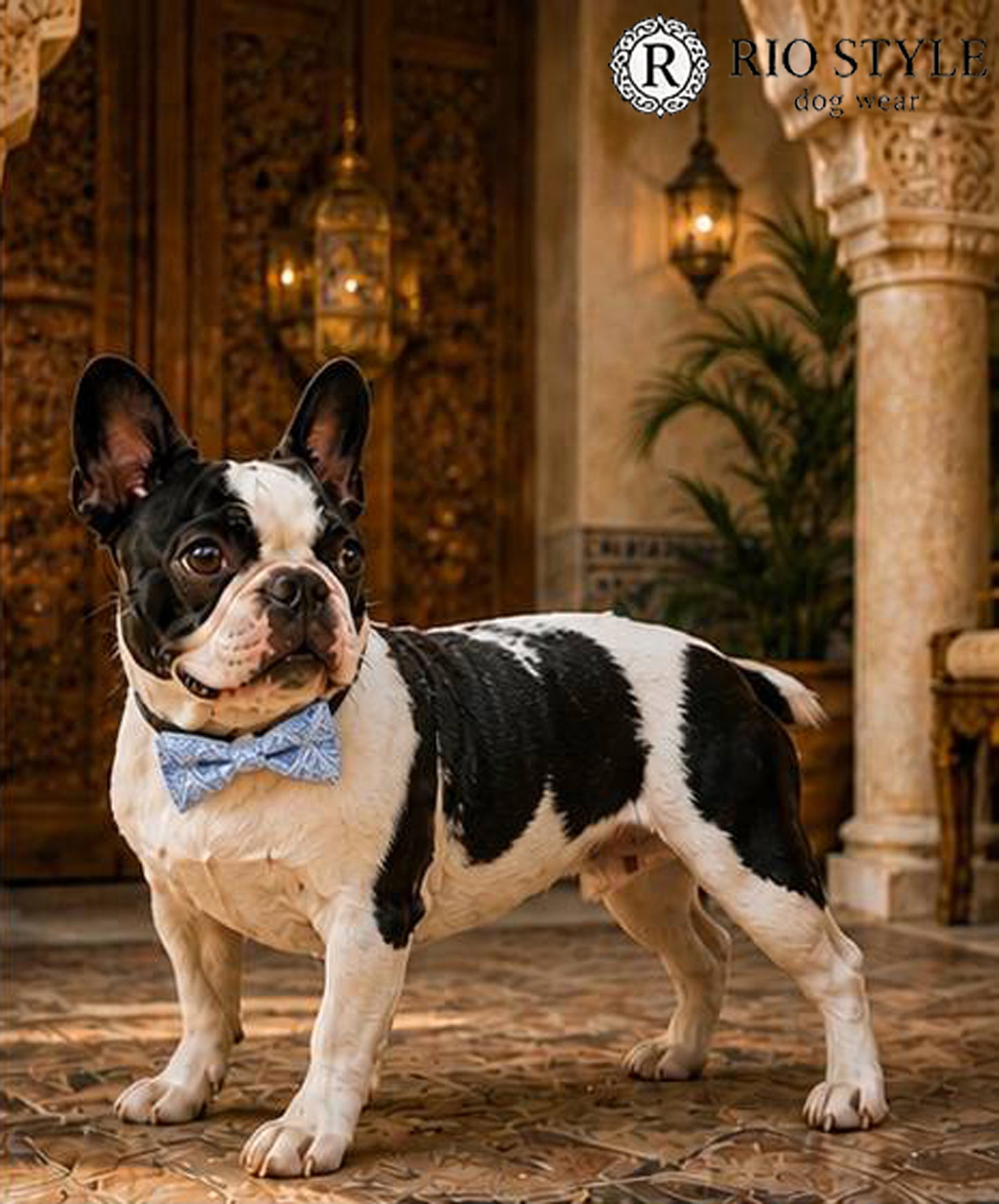 Oriental Resort Bow Tie◇RIO STYLE ◇-dog resort wear-