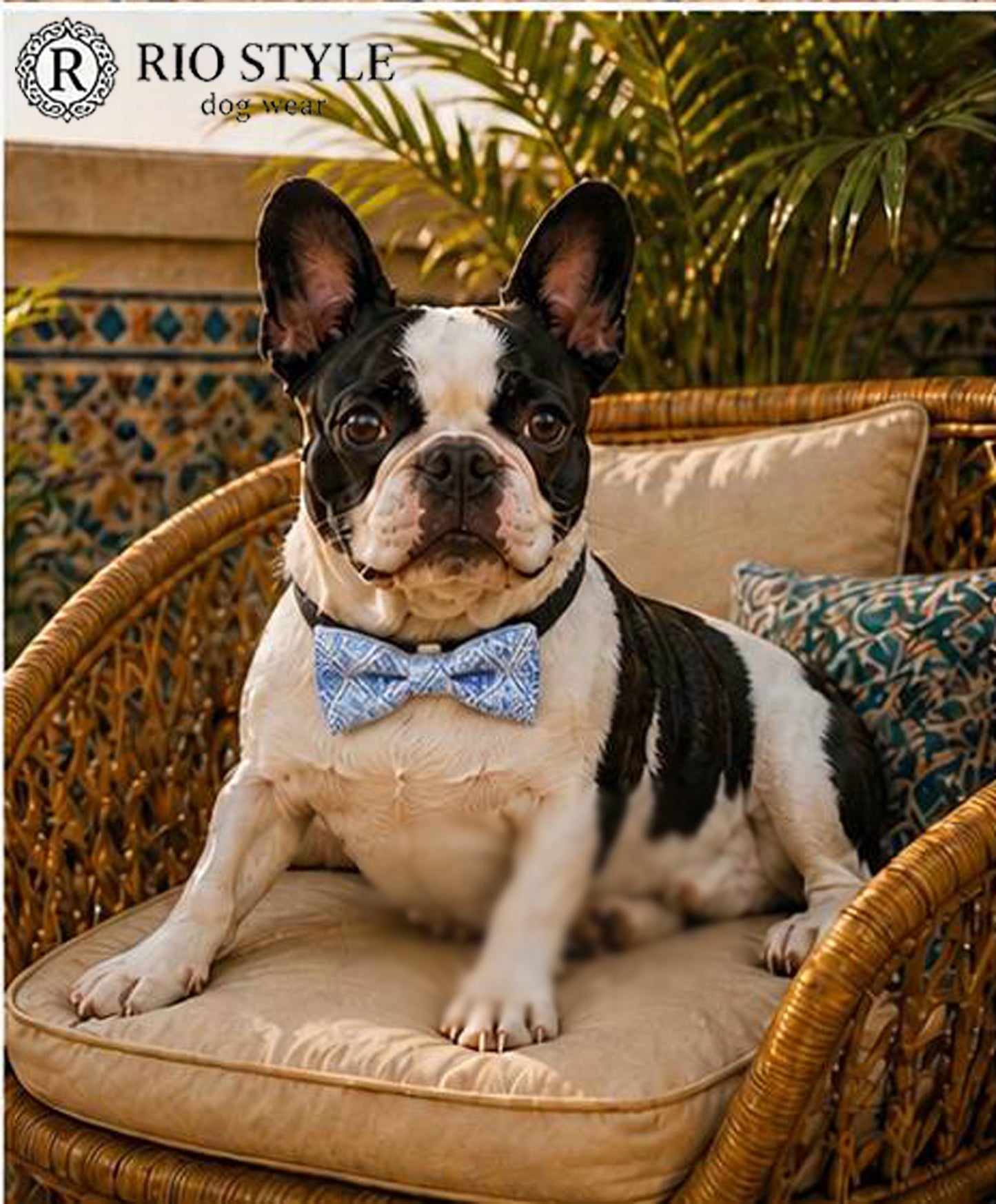 Oriental Resort Bow Tie◇RIO STYLE ◇-dog resort wear-