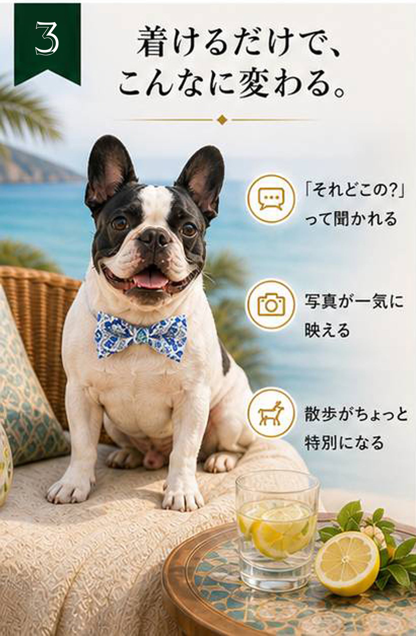 Oriental Resort Bow Tie◇RIO STYLE ◇-dog resort wear-