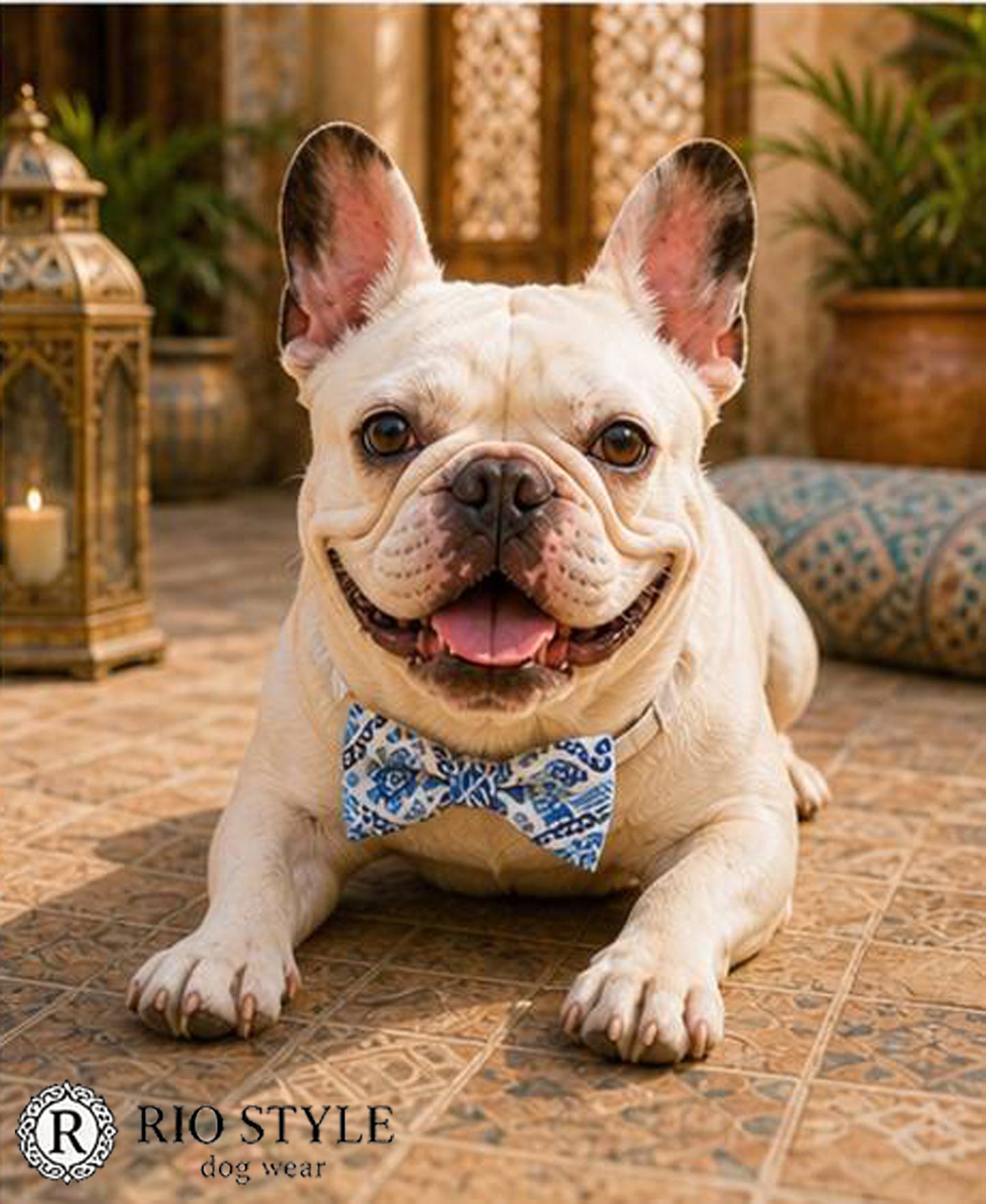 Oriental Resort Bow Tie◇RIO STYLE ◇-dog resort wear-