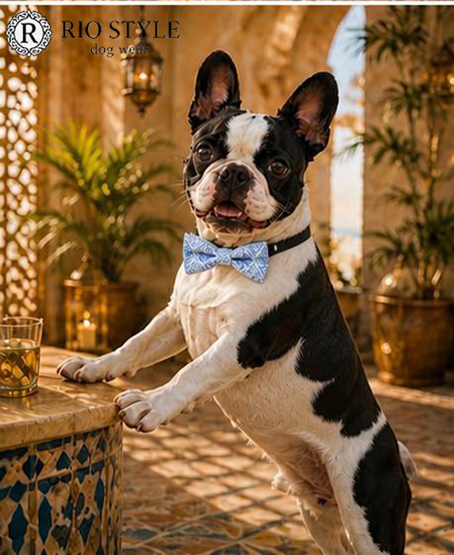 Oriental Resort Bow Tie◇RIO STYLE ◇-dog resort wear-