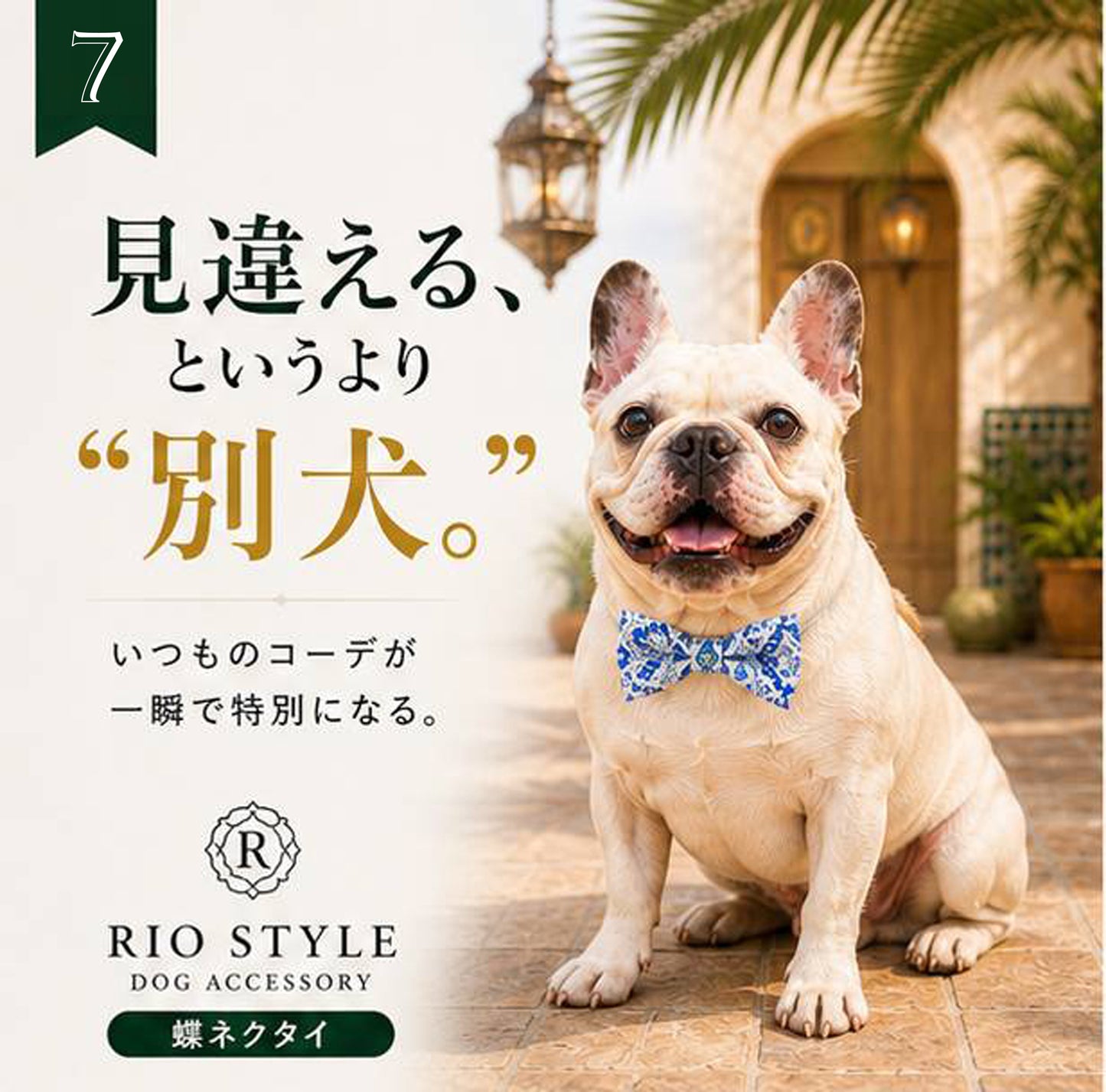 Oriental Resort Bow Tie◇RIO STYLE ◇-dog resort wear-