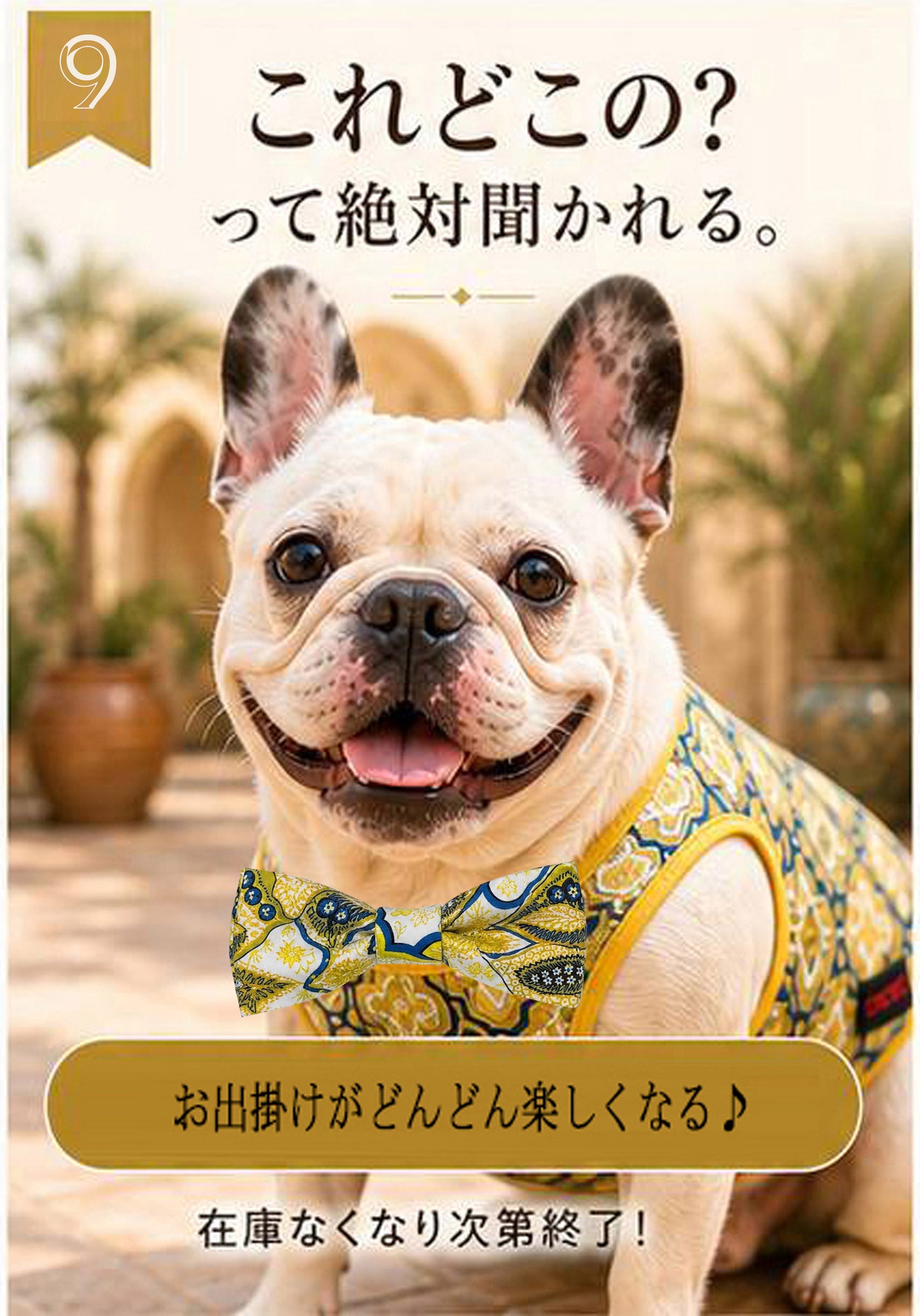 Oriental Resort Mini Pouch◇RIO STYLE◇-dog resort wear-