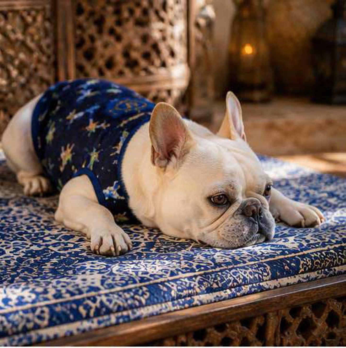 Cute KAIJU Print TOPS◇RIO STYLE◇-dog resort wear-