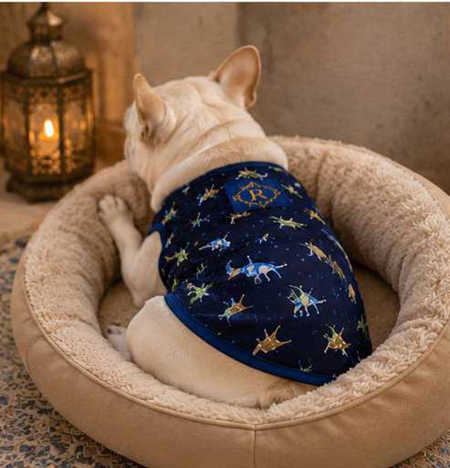 Cute KAIJU Print TOPS◇RIO STYLE◇-dog resort wear-