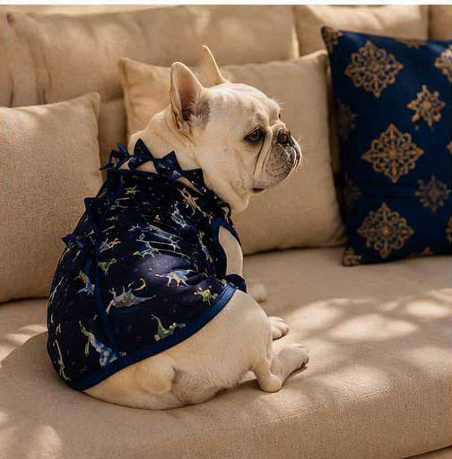Cute KAIJU Print TOPS◇RIO STYLE◇-dog resort wear-