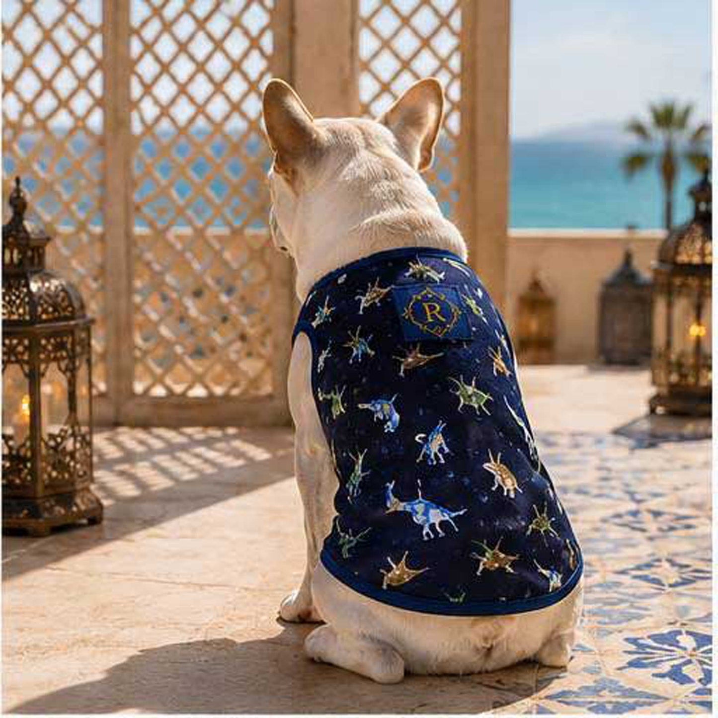 Cute KAIJU Print TOPS◇RIO STYLE◇-dog resort wear-