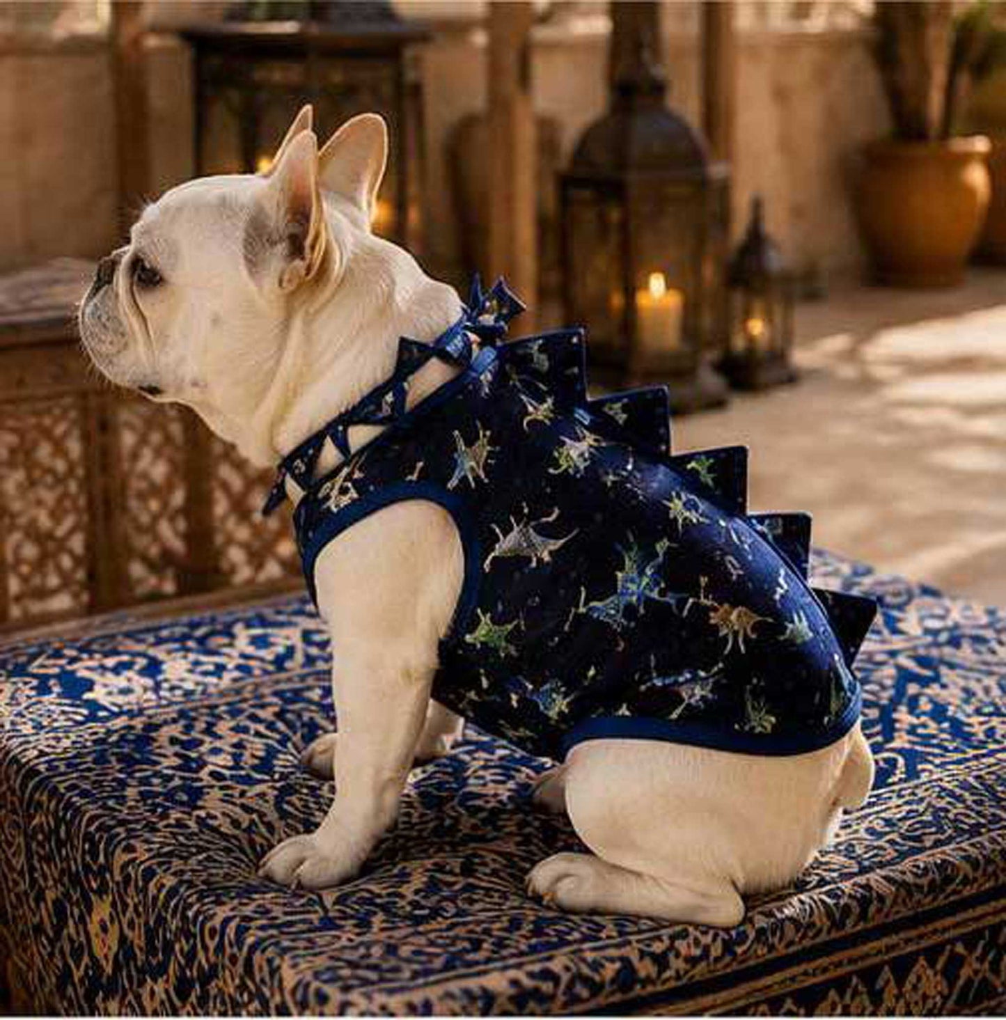 Cute KAIJU Print TOPS◇RIO STYLE◇-dog resort wear-