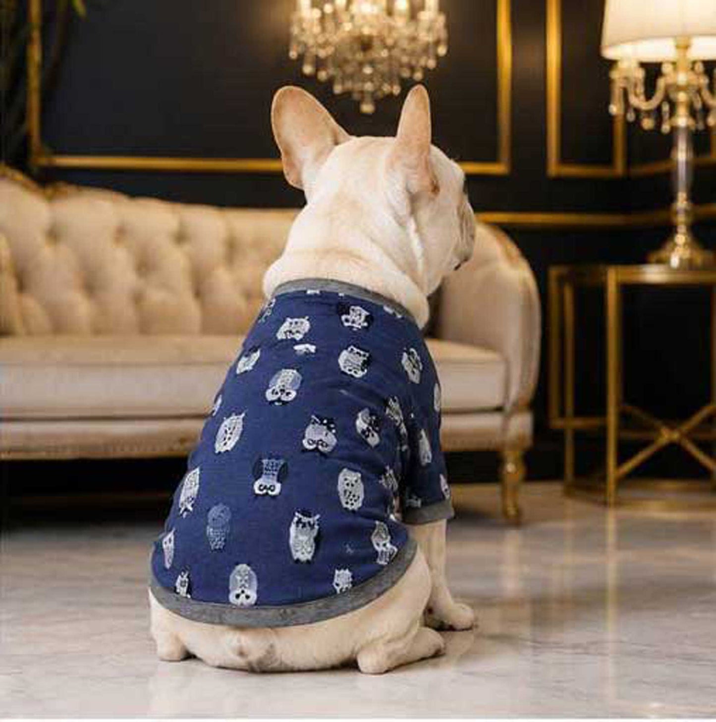 Owl Resort Ptint Tops with accessory◇RIO STYLE◇-dog resort wear-