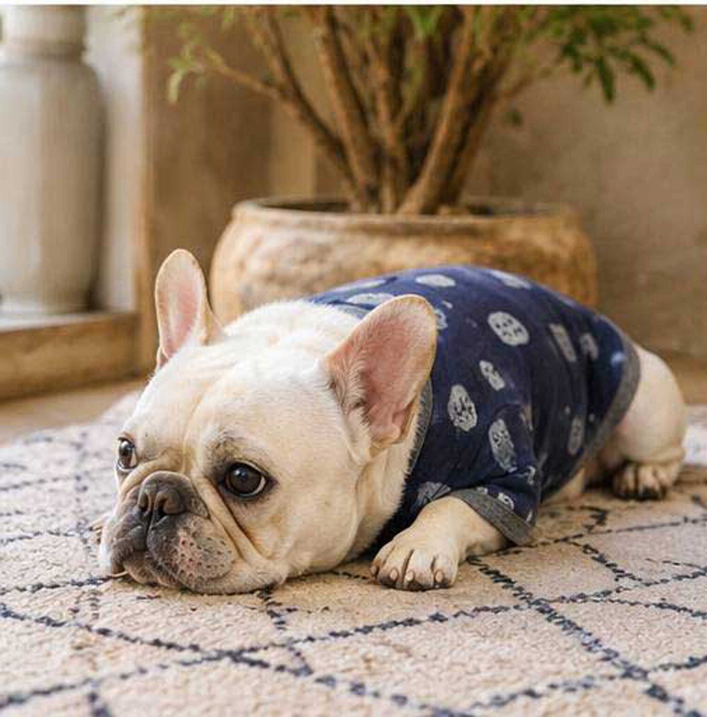 Owl Resort Ptint Tops with accessory◇RIO STYLE◇-dog resort wear-