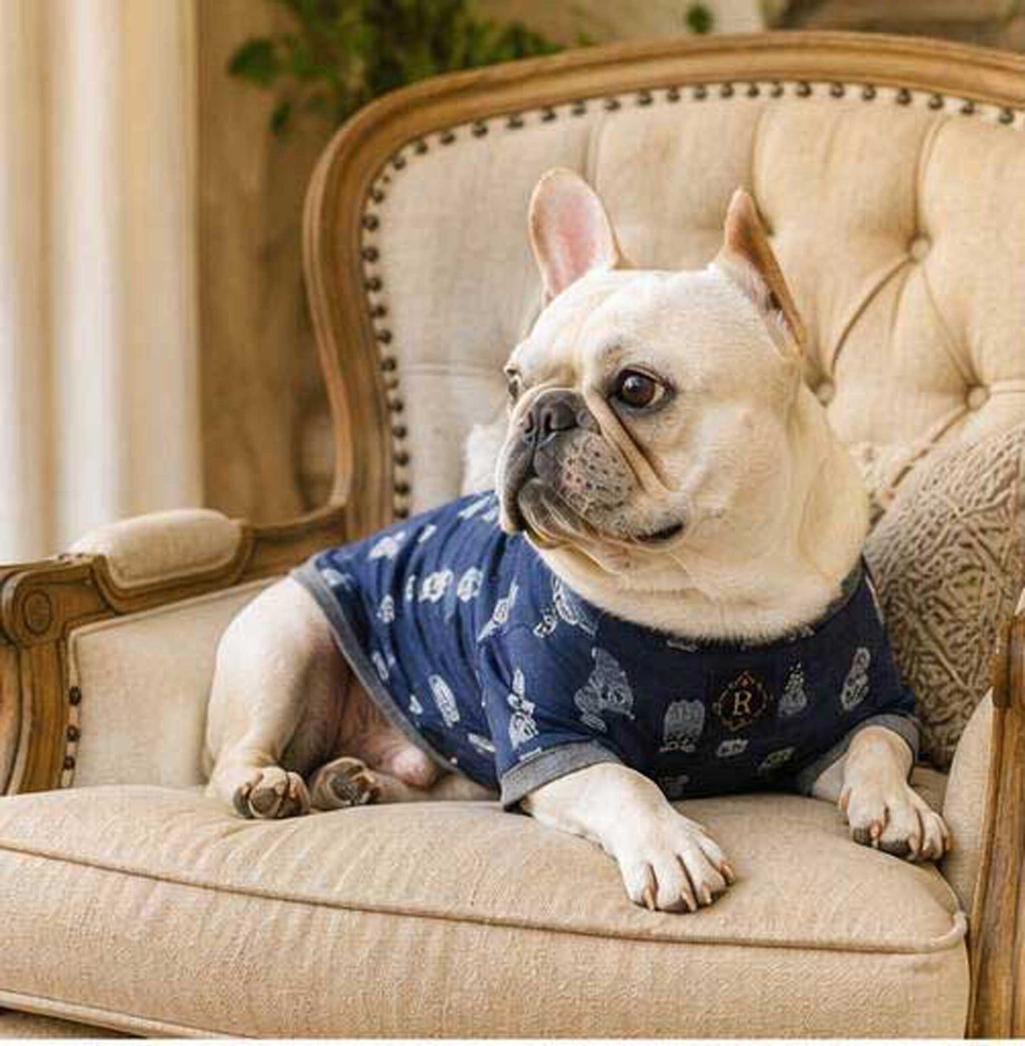 Owl Resort Ptint Tops with accessory◇RIO STYLE◇-dog resort wear-