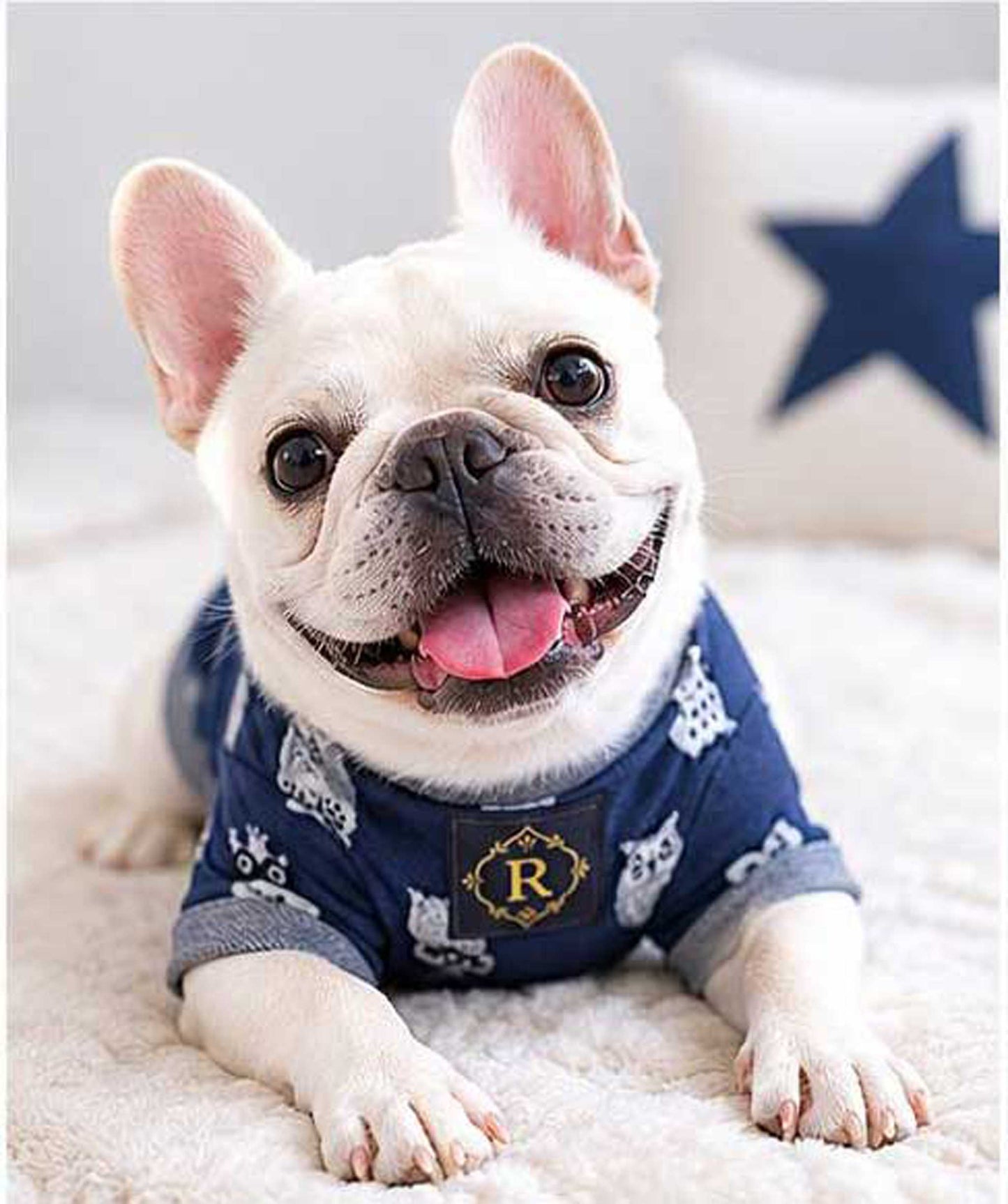 Owl Resort Ptint Tops with accessory◇RIO STYLE◇-dog resort wear-