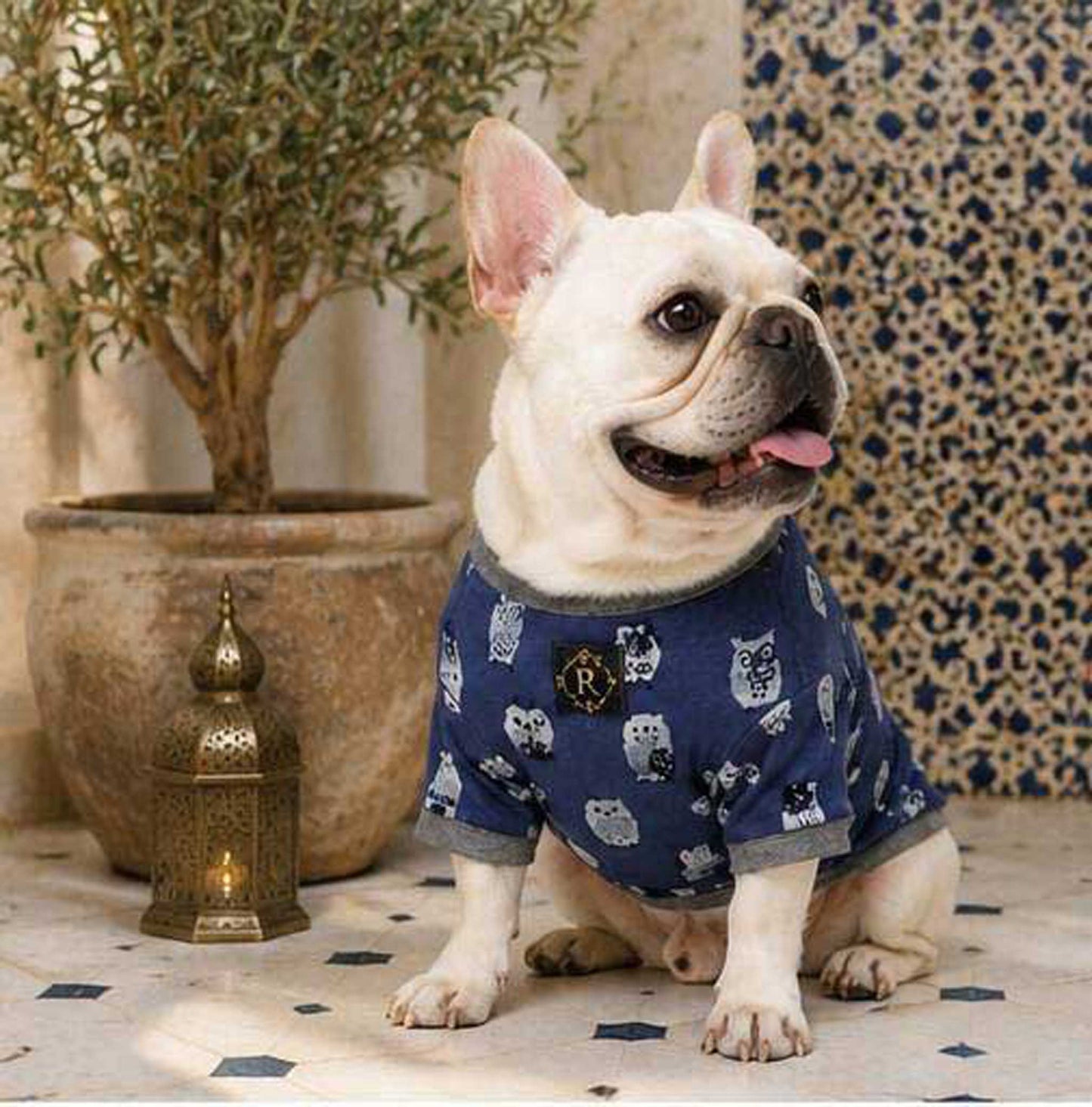 Owl Resort Ptint Tops with accessory◇RIO STYLE◇-dog resort wear-
