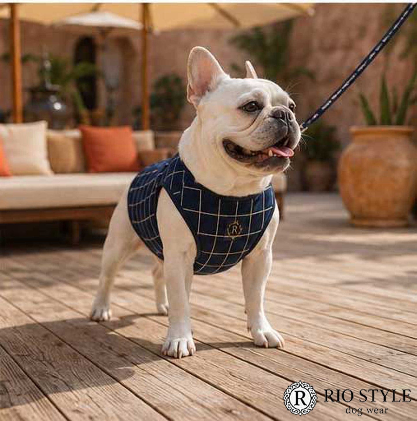 Windowpane check Traditional Tops◇RIO STYLE◇-dog resort wear-