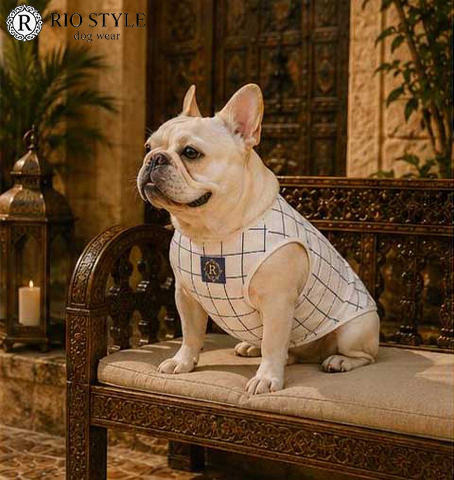 Windowpane check Traditional Tops◇RIO STYLE◇-dog resort wear-