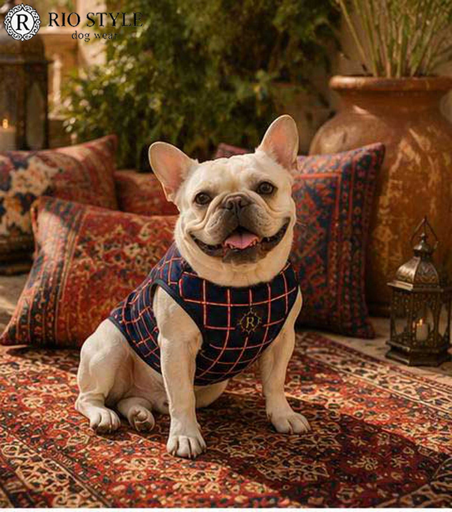 Windowpane check Traditional Tops◇RIO STYLE◇-dog resort wear-