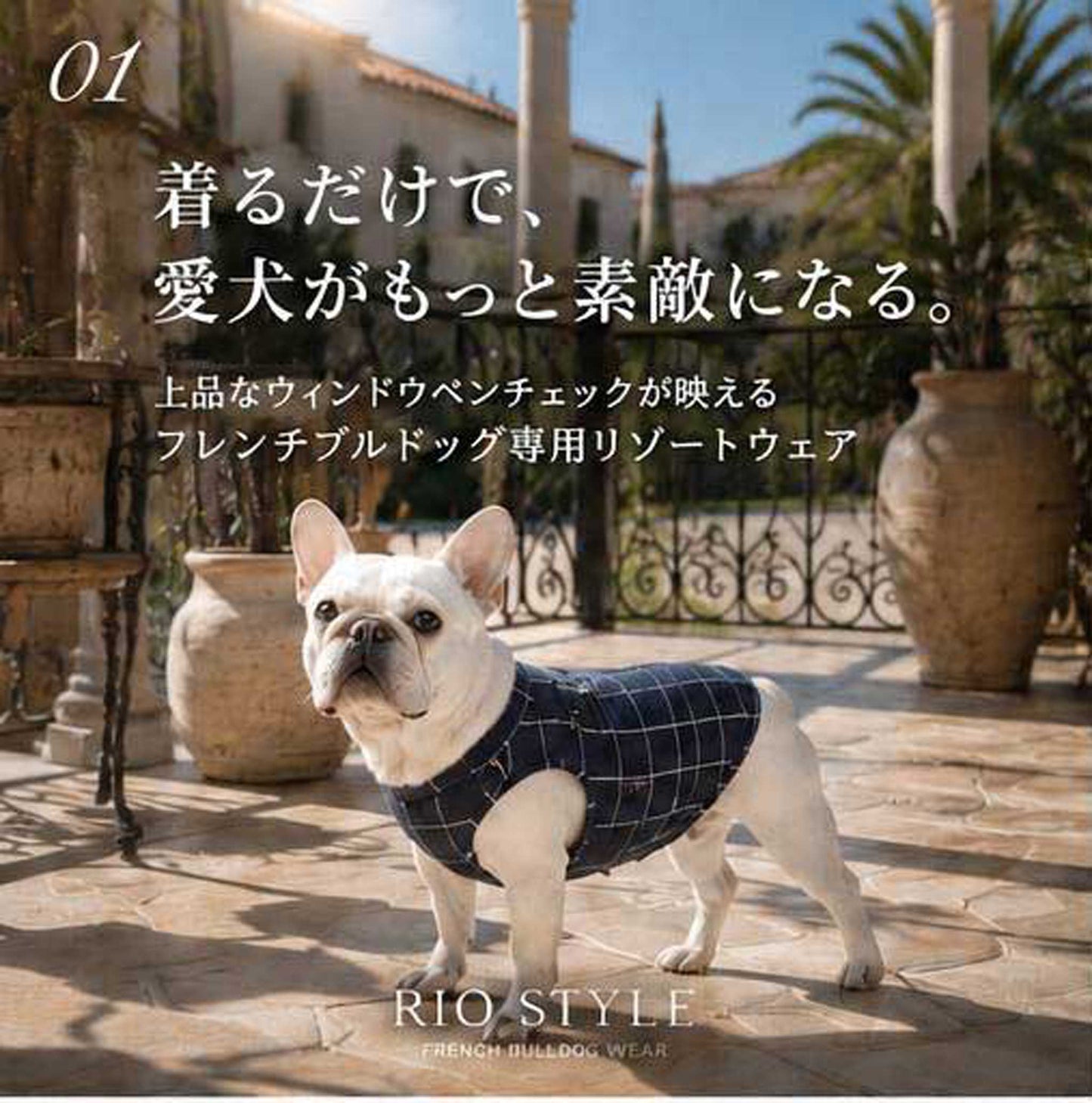 Windowpane check Traditional Tops◇RIO STYLE◇-dog resort wear-