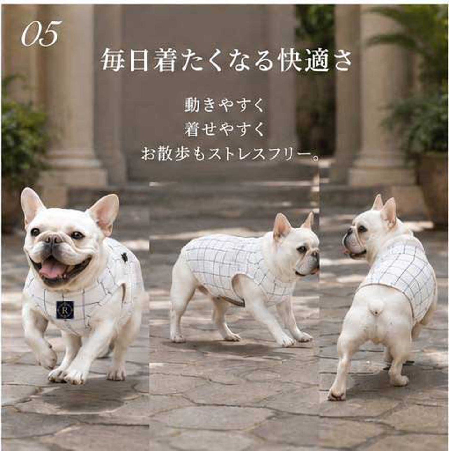 Windowpane check Traditional Tops◇RIO STYLE◇-dog resort wear-