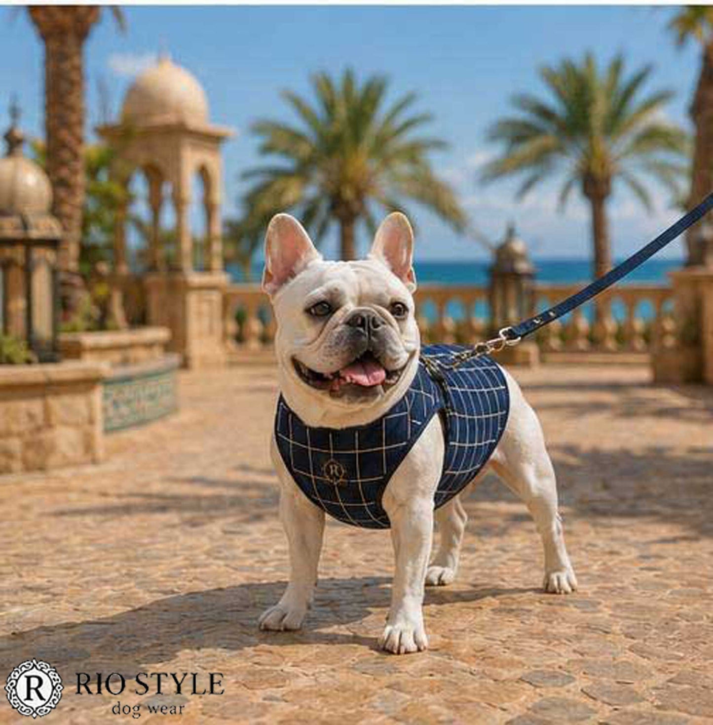 Windowpane check Traditional Tops◇RIO STYLE◇-dog resort wear-