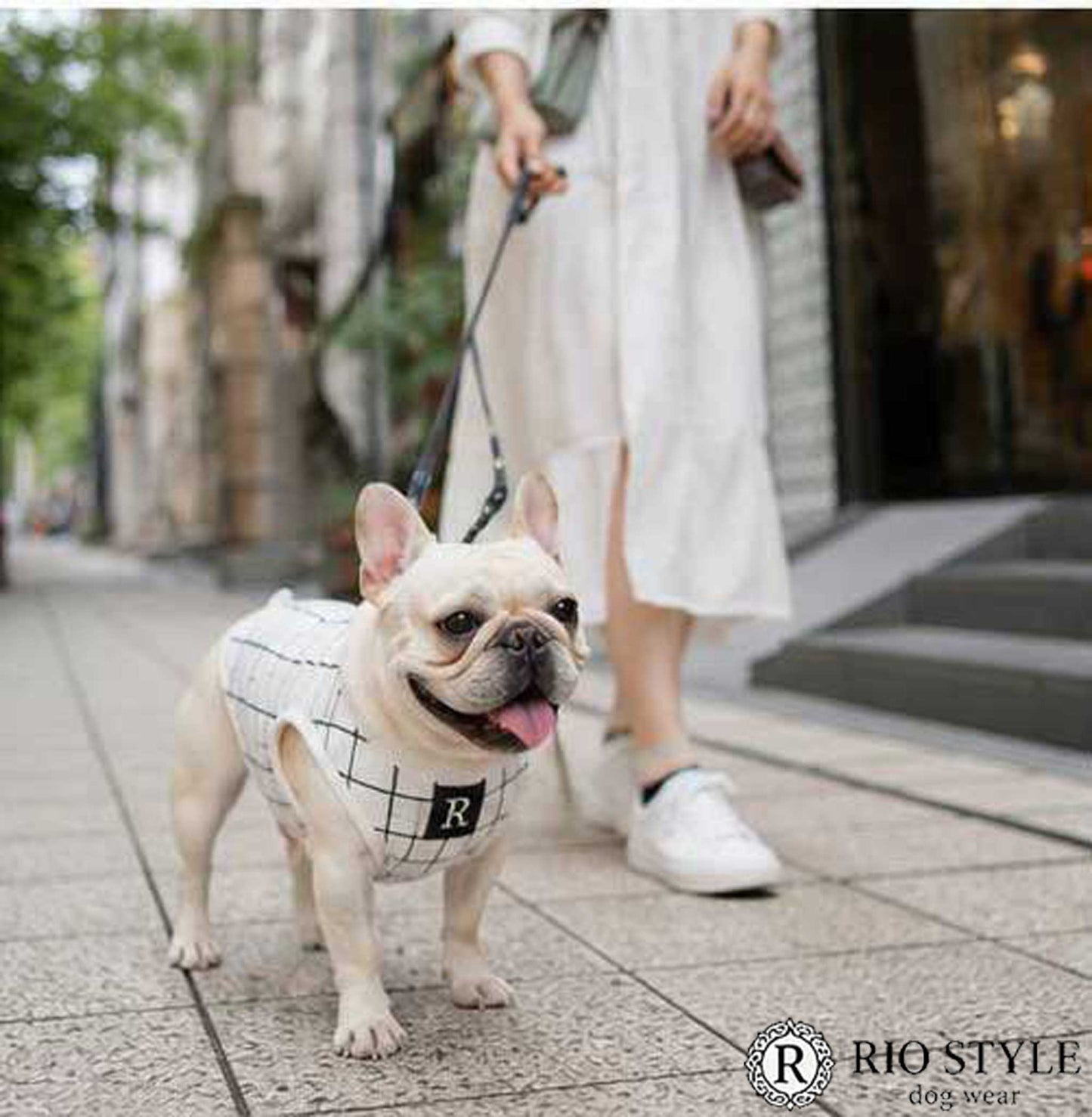 Windowpane check Traditional Tops◇RIO STYLE◇-dog resort wear-