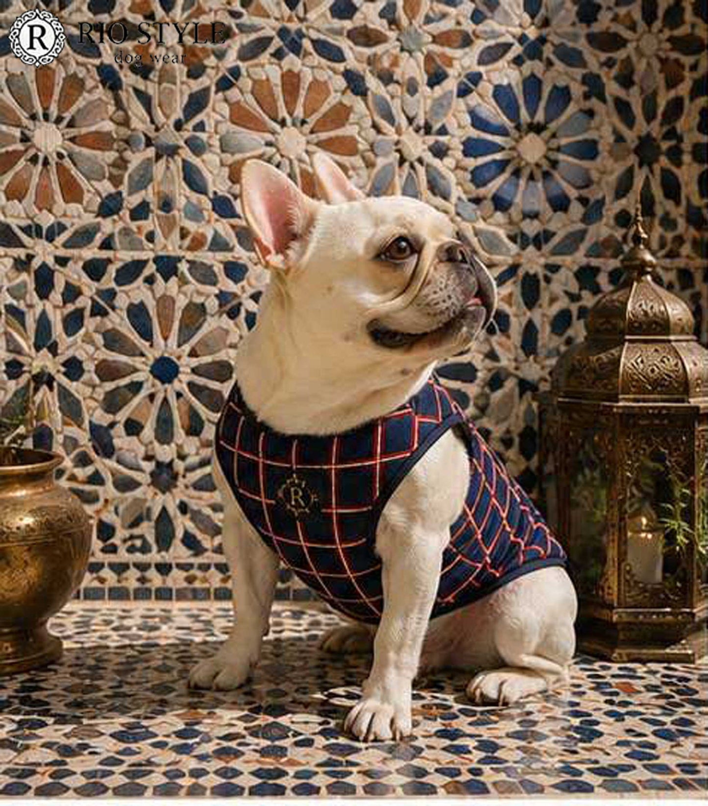 Windowpane check Traditional Tops◇RIO STYLE◇-dog resort wear-