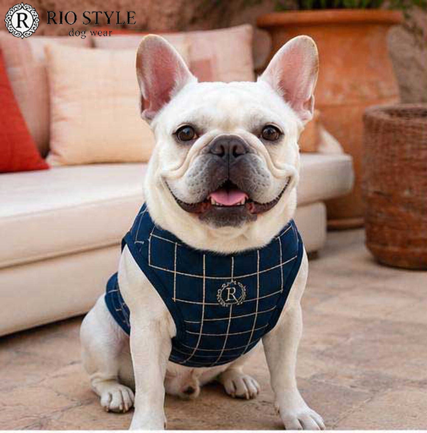 Windowpane check Traditional Tops◇RIO STYLE◇-dog resort wear-