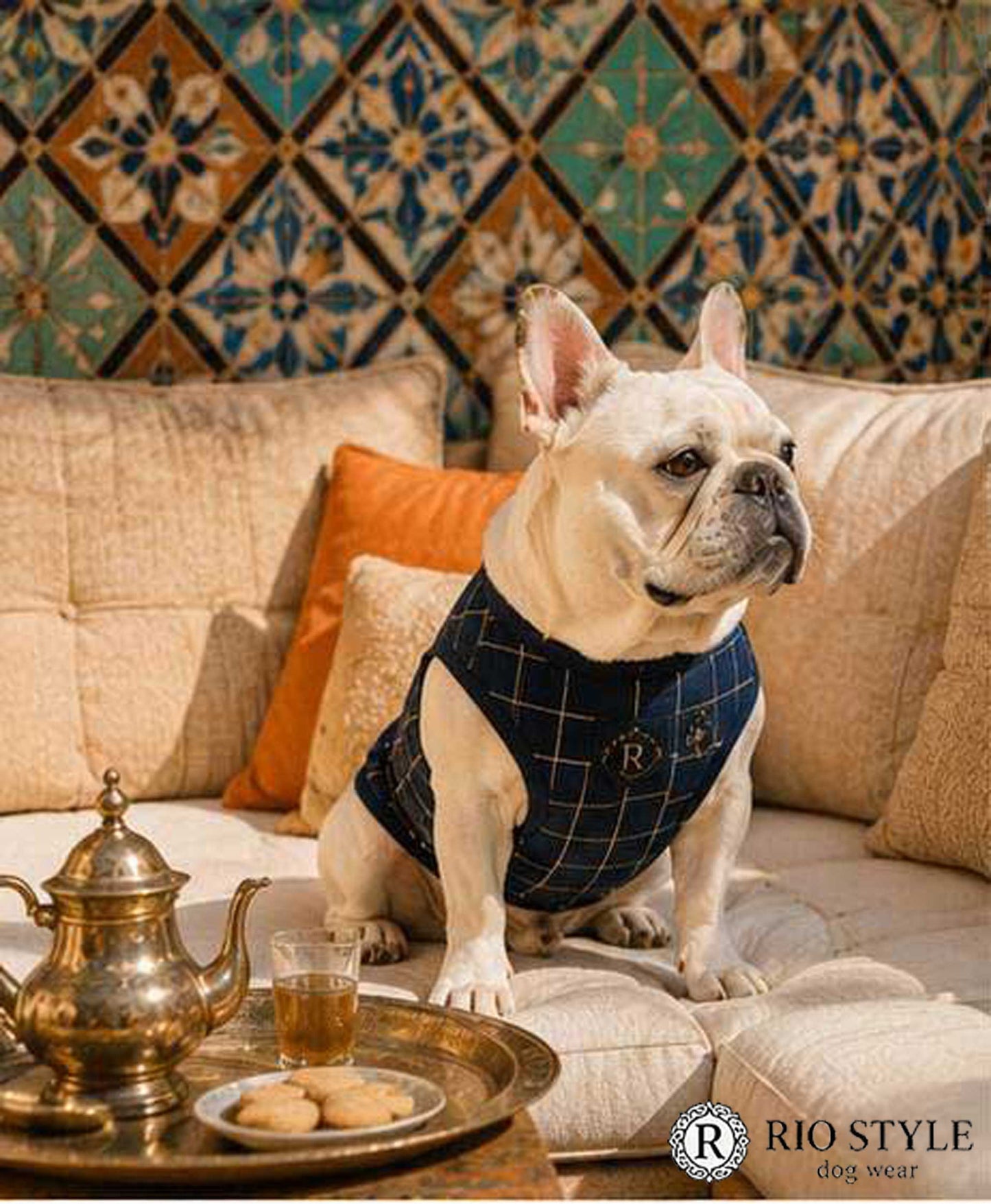 Windowpane check Traditional Tops◇RIO STYLE◇-dog resort wear-
