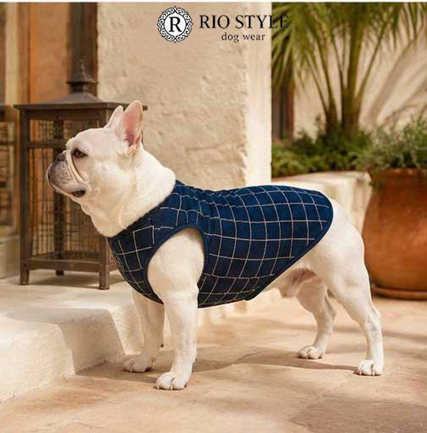 Windowpane check Traditional Tops◇RIO STYLE◇-dog resort wear-