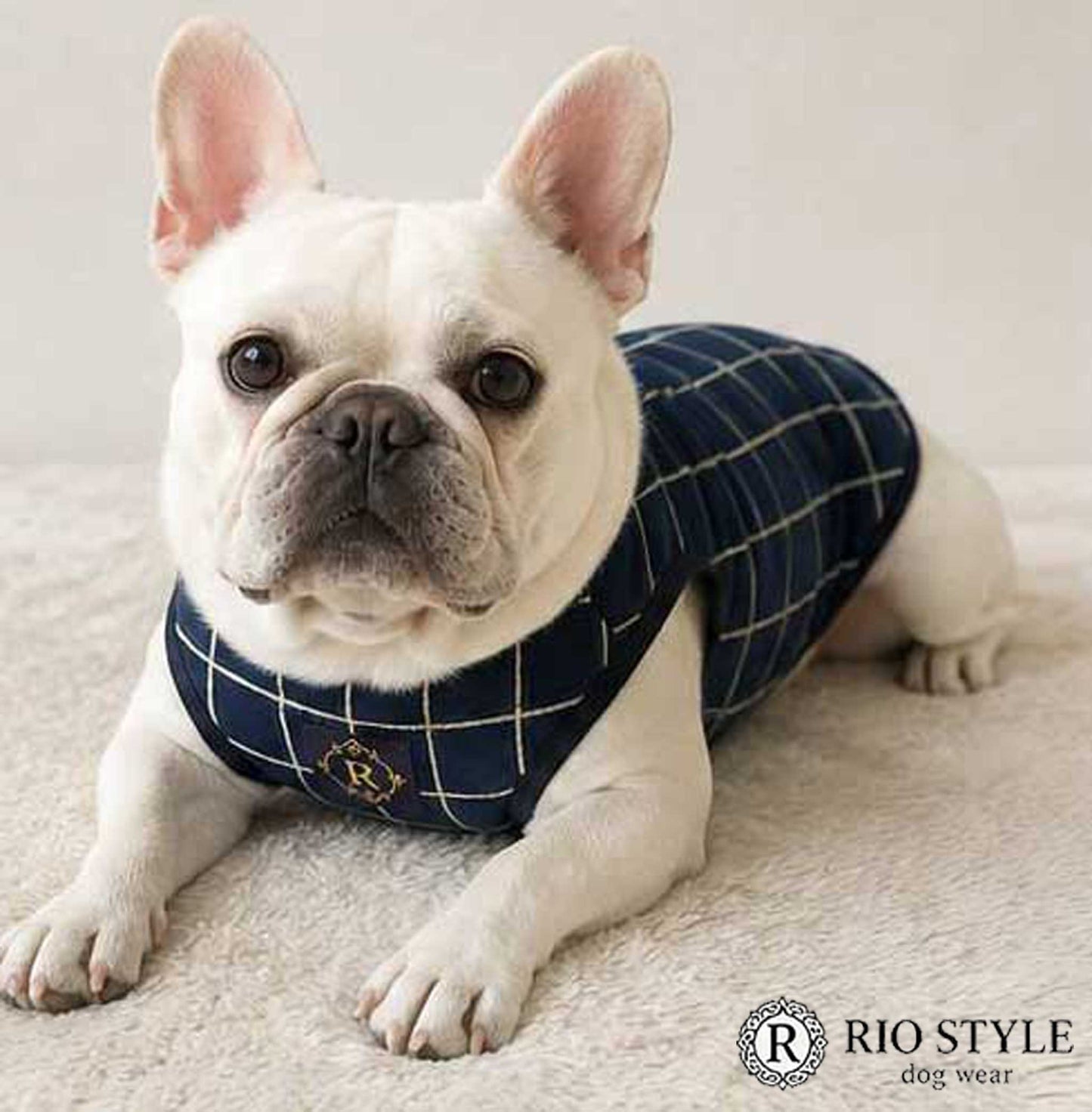 Windowpane check Traditional Tops◇RIO STYLE◇-dog resort wear-