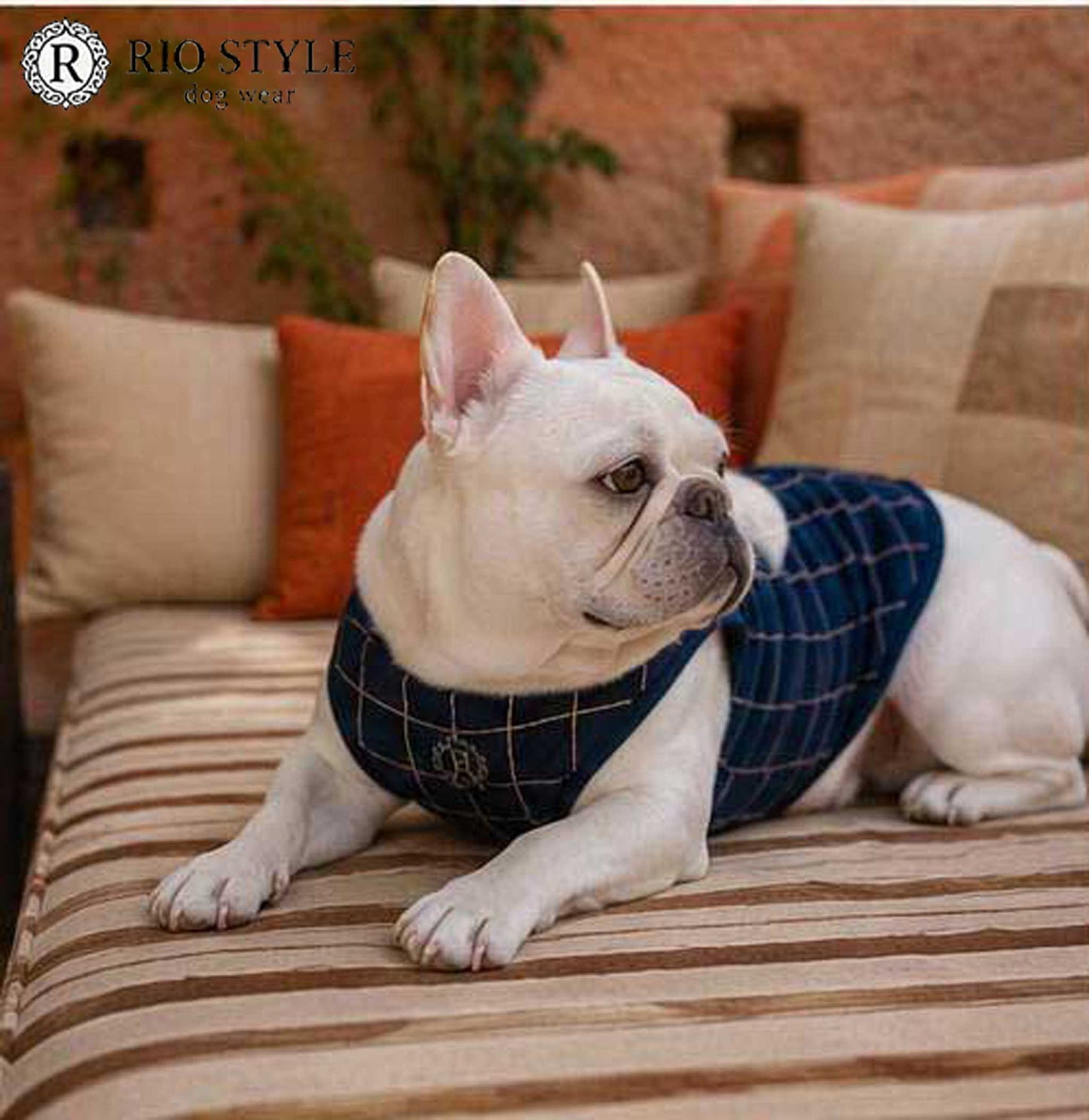 Windowpane check Traditional Tops◇RIO STYLE◇-dog resort wear-