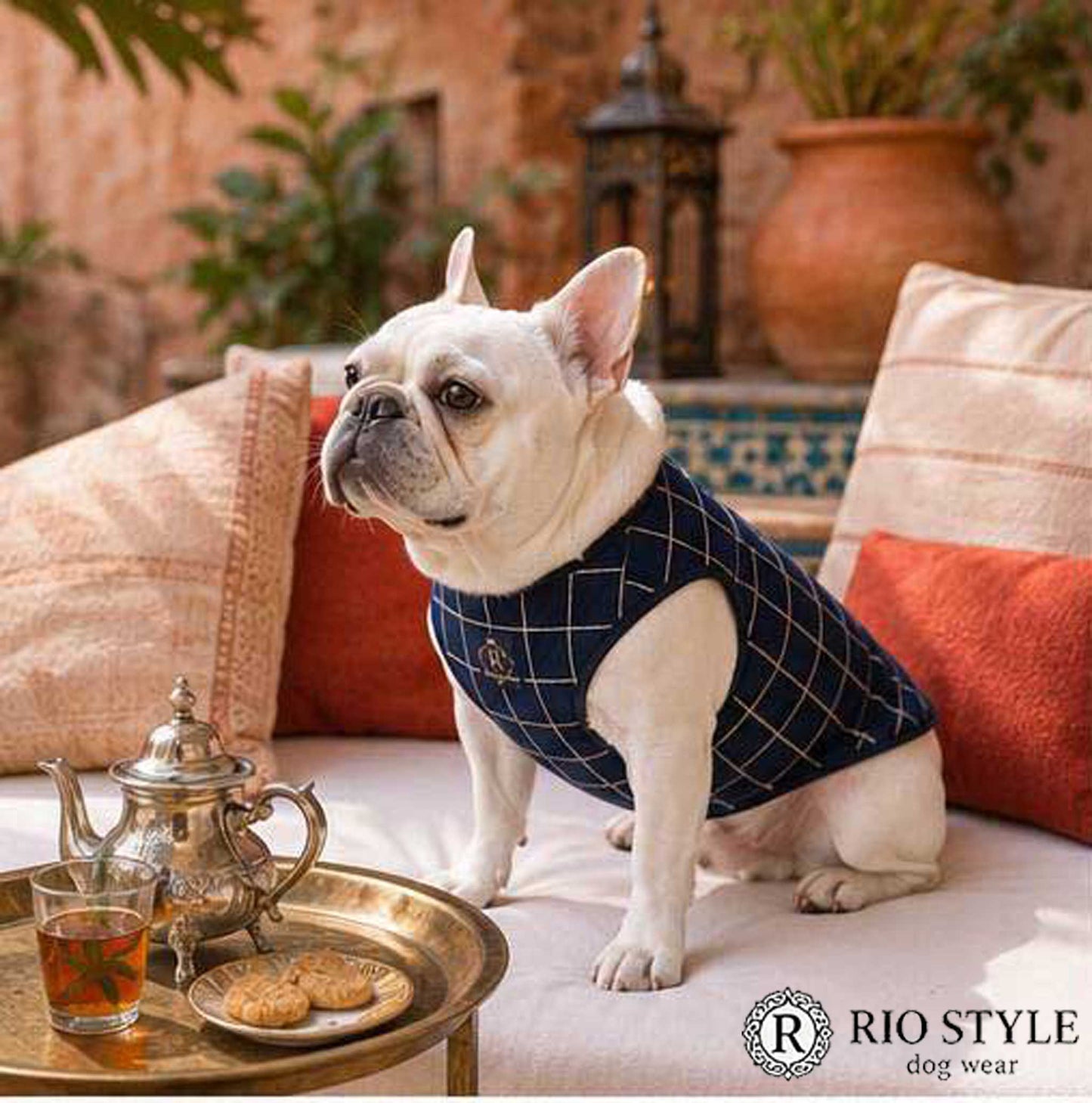 Windowpane check Traditional Tops◇RIO STYLE◇-dog resort wear-