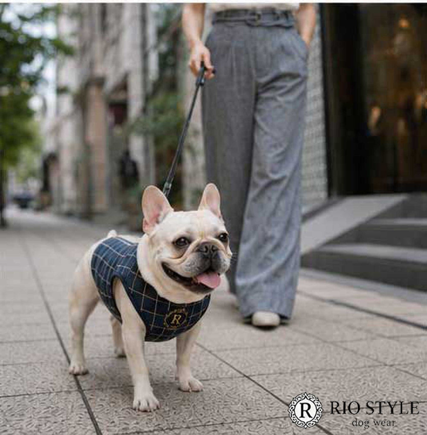 Windowpane check Traditional Tops◇RIO STYLE◇-dog resort wear-