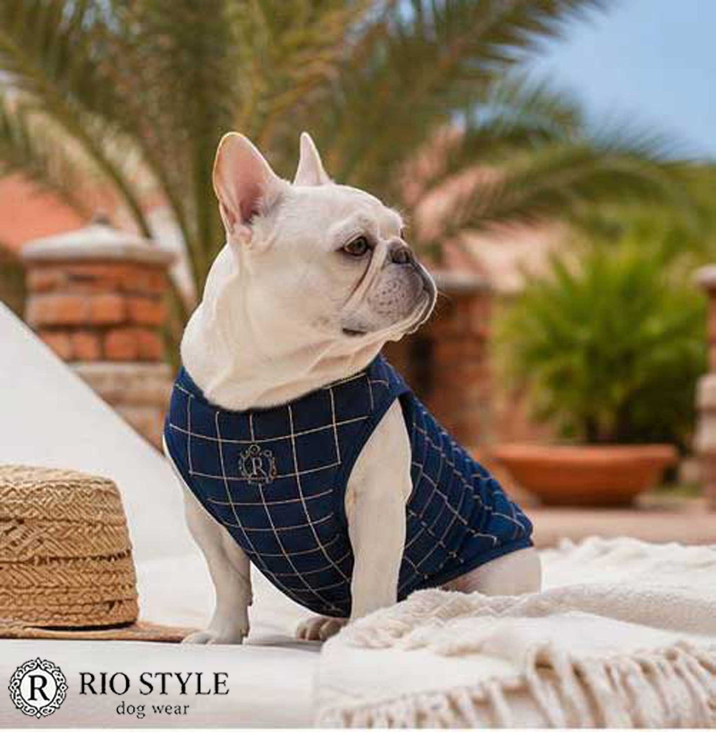 Windowpane check Traditional Tops◇RIO STYLE◇-dog resort wear-