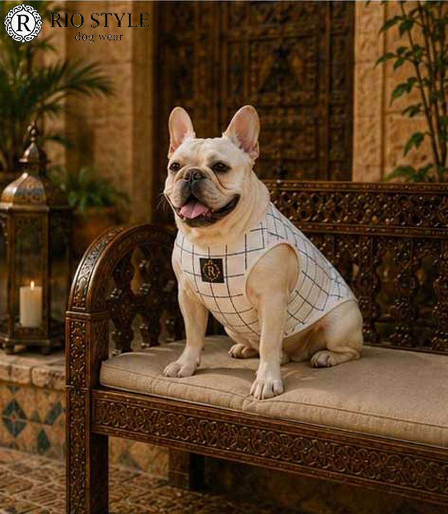 Windowpane check Traditional Tops◇RIO STYLE◇-dog resort wear-