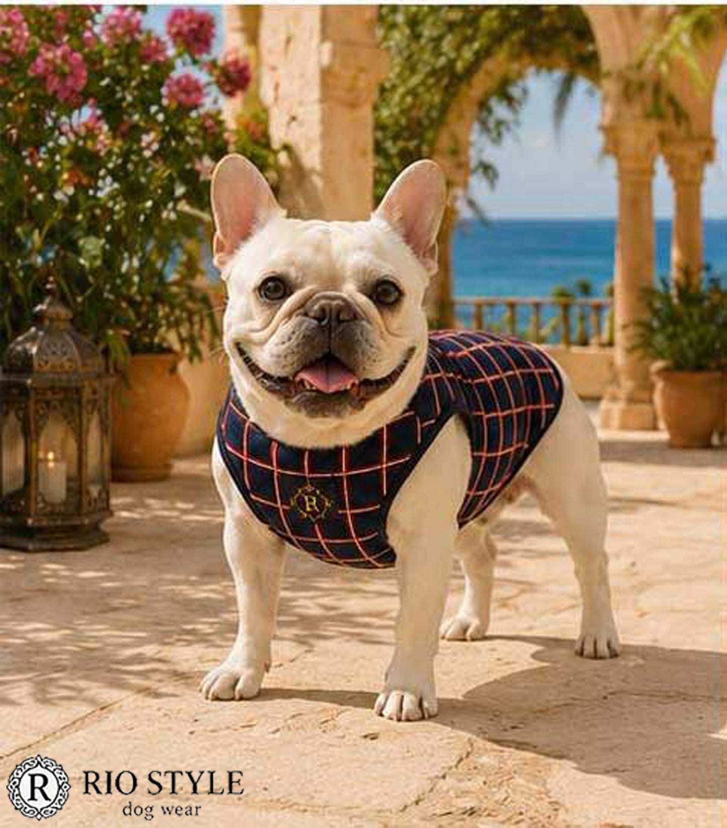 Windowpane check Traditional Tops◇RIO STYLE◇-dog resort wear-