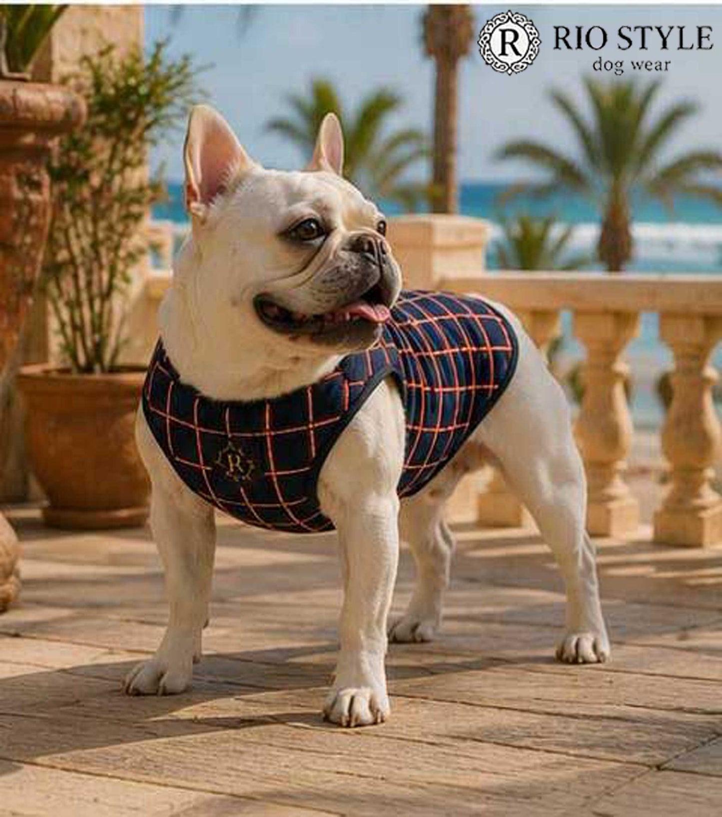 Windowpane check Traditional Tops◇RIO STYLE◇-dog resort wear-