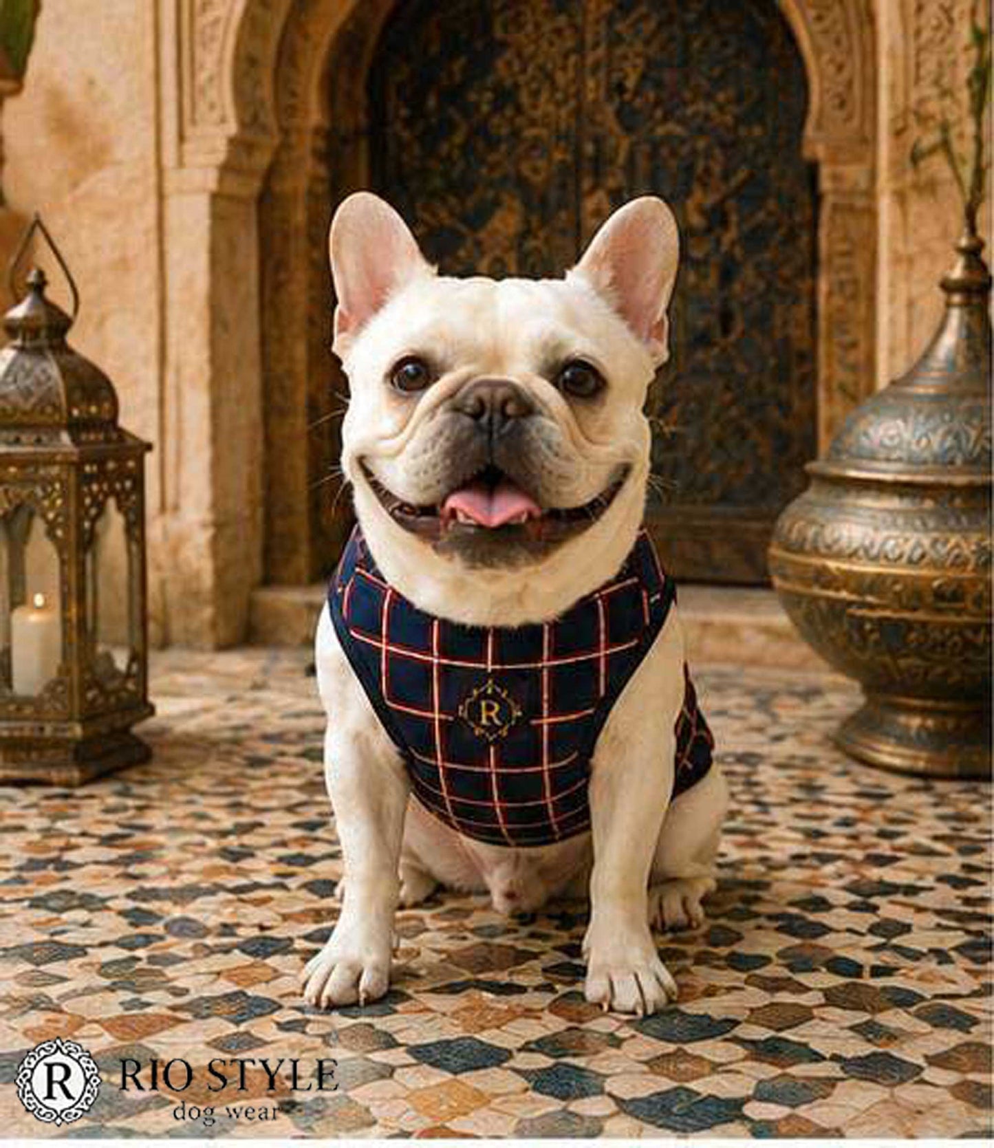 Windowpane check Traditional Tops◇RIO STYLE◇-dog resort wear-
