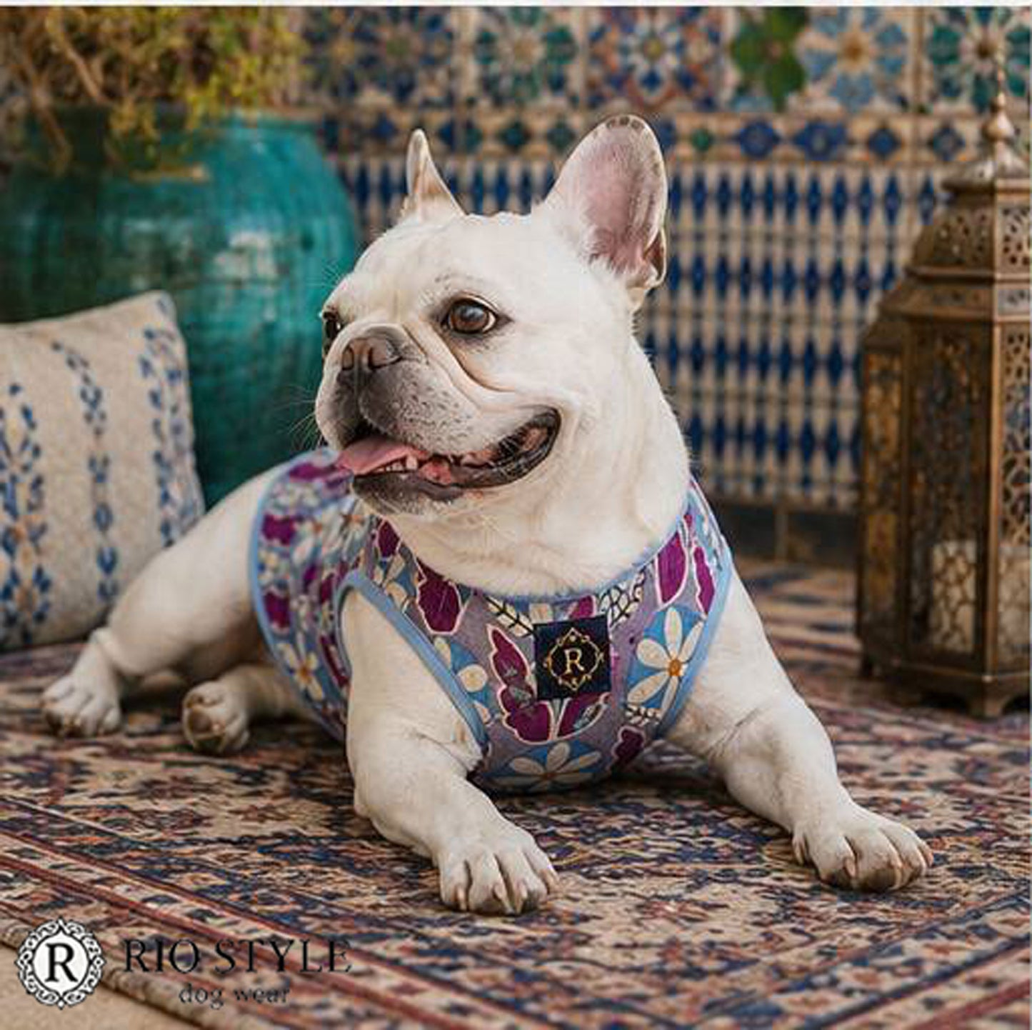 Retro Flower Tops◇RIO STYLE◇-dog resort wear-