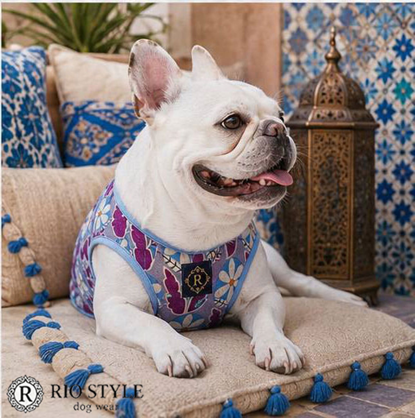 Retro Flower Tops◇RIO STYLE◇-dog resort wear-