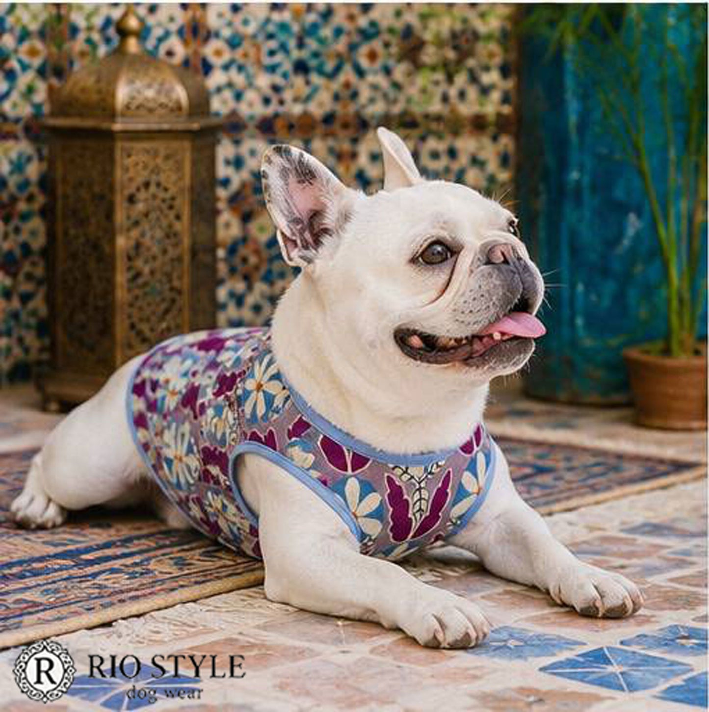 Retro Flower Tops◇RIO STYLE◇-dog resort wear-