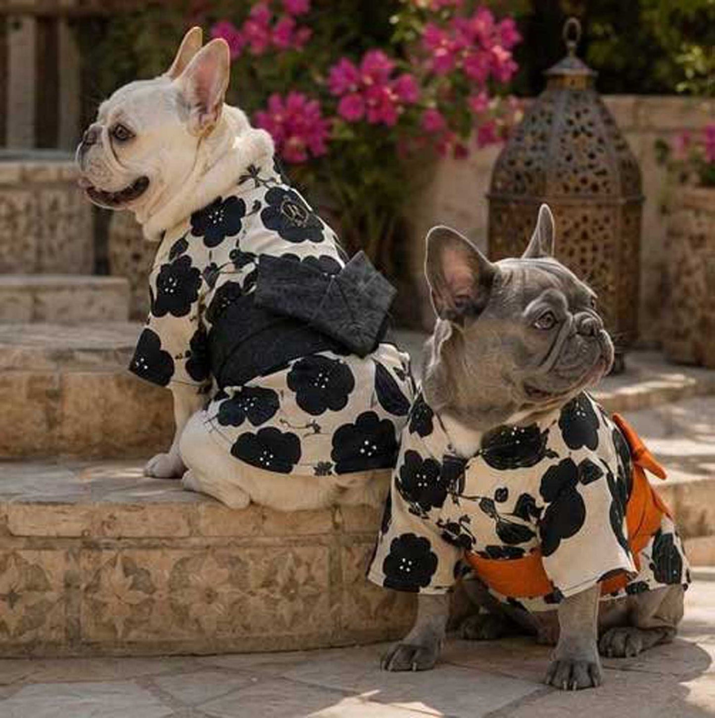 Resort Yukata ◇RIO STYLE◇ -Dog Resort Wear-